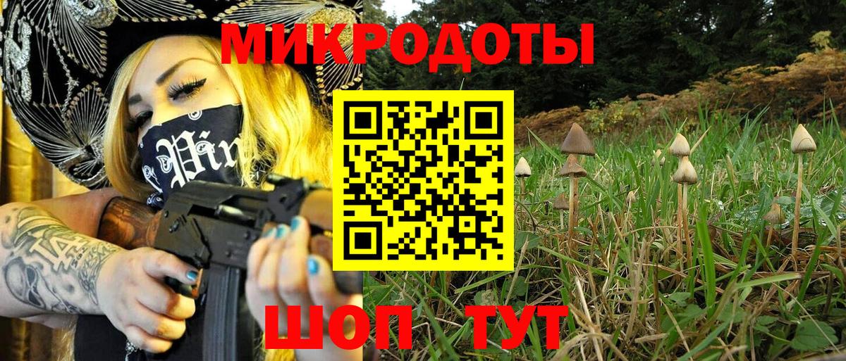 Рославль  Псилоцибиновые грибы мухоморы  Вход с VPN  Псилоцибиновые грибы Psilocybe 